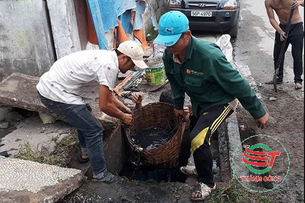 nao-vet-ho-ga-tphcm-2