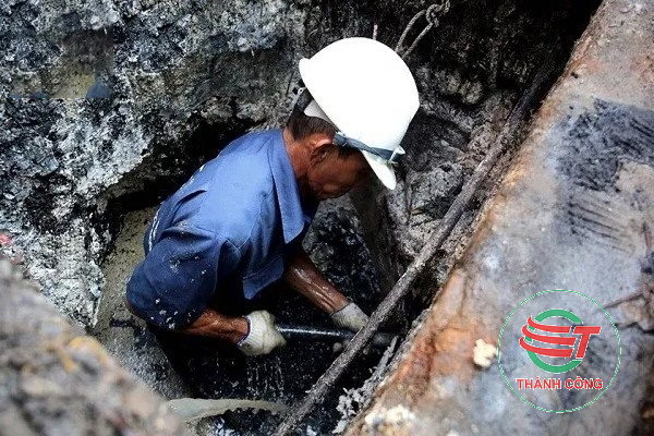 nao-vet-ho-ga-tphcm-3